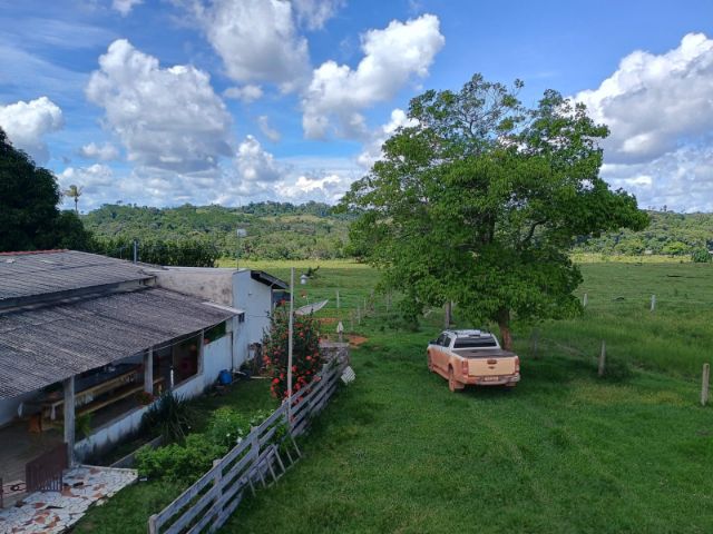 Fazenda com 274m² 3 quartos e 2 banheiros, à venda, no bairro Rural em Alta Floresta