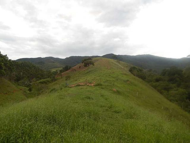 Foto do Fazenda - Fazenda rural à venda, Zona Rural, Monteiro Lobato - FA0001. | INDEPENDENCE NEGOCIOS IMOBILIARIOS LTDA