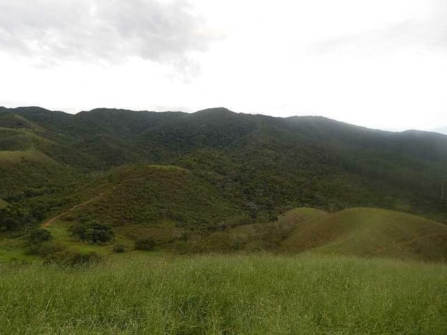 Foto do Fazenda - Fazenda rural à venda, Zona Rural, Monteiro Lobato - FA0001. | INDEPENDENCE NEGOCIOS IMOBILIARIOS LTDA