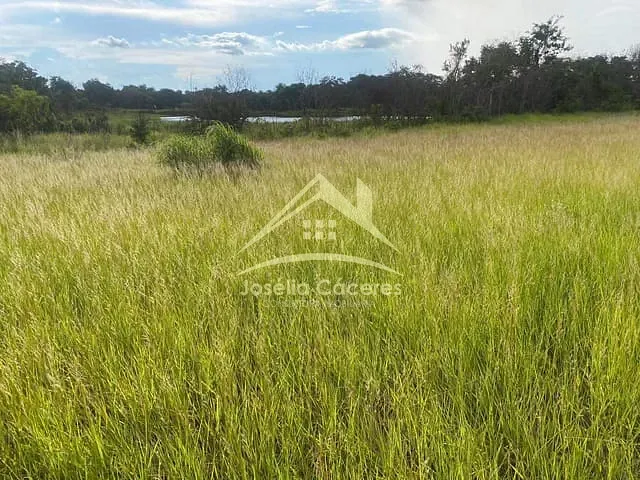 Fazenda com 193m² 2 quartos e 1 banheiro, à venda, no bairro Centro-Sul em Várzea Grande