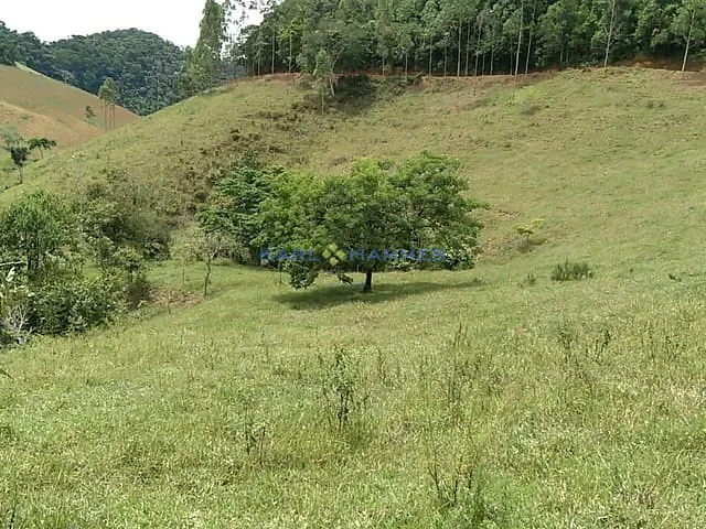 Fazenda com 1100000m² 5 quartos e 3 banheiros, à venda, no bairro Centro em Argirita
