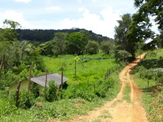 Fazenda com 1100000m² 5 quartos e 3 banheiros, à venda, no bairro Centro em Argirita