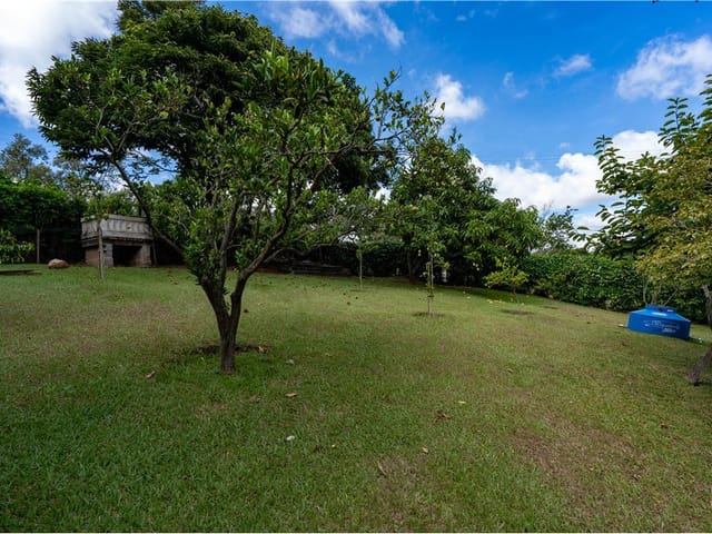 Foto do Fazenda - Fazenda/Sítio à venda 3242M² Chácara Nova Essen Campo Limpo Paulista - SP | Lares e Andares Imóveis
