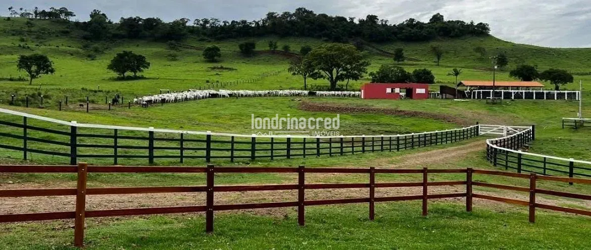 Fazenda, 177 hectares - Foto 25