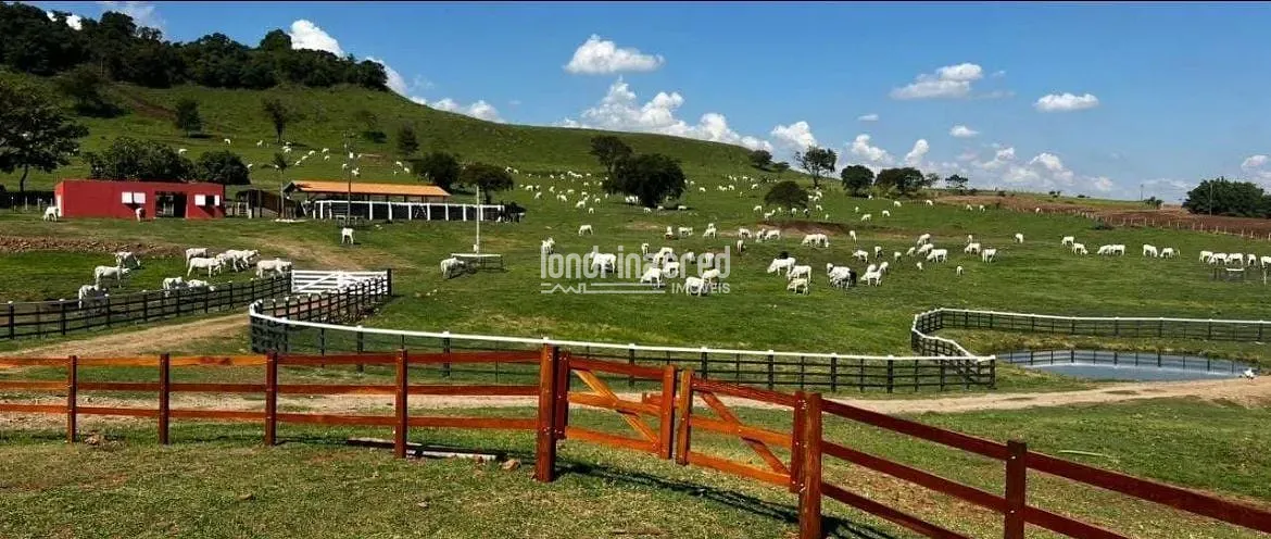 Fazenda, 177 hectares - Foto 26
