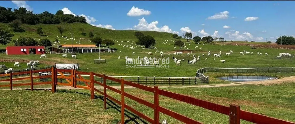 Fazenda, 177 hectares - Foto 1