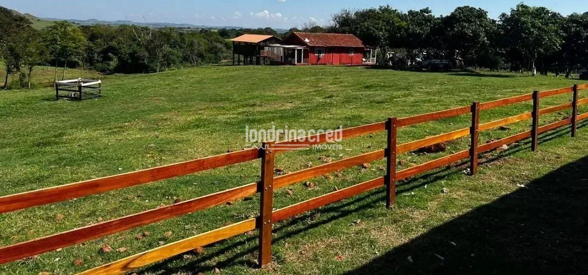 Fazenda, 177 hectares - Foto 28