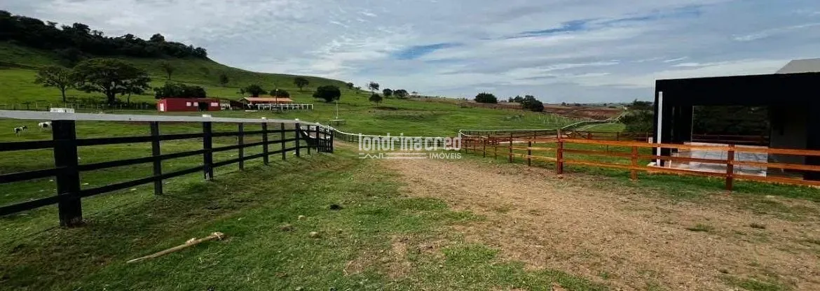 Fazenda, 177 hectares - Foto 29