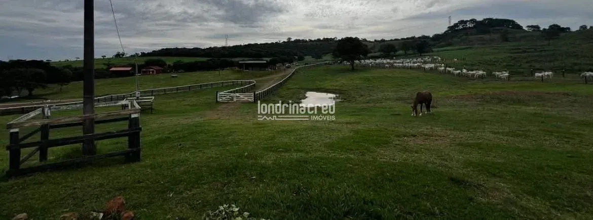 Fazenda, 177 hectares - Foto 30