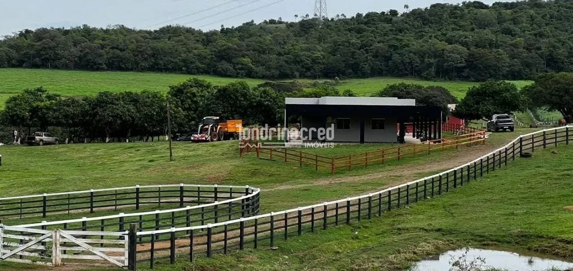 Fazenda, 177 hectares - Foto 31