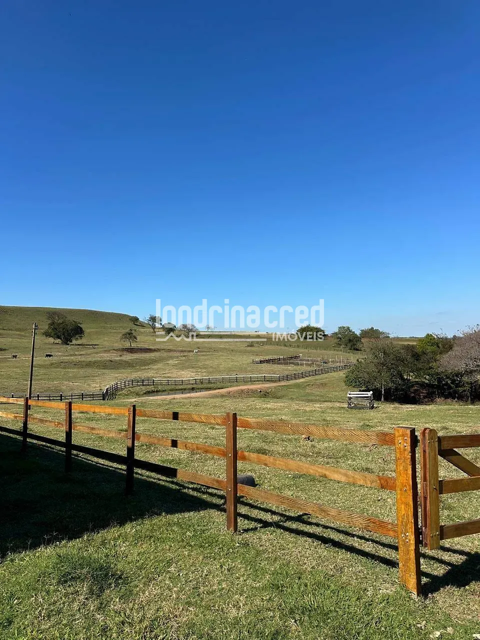 Fazenda, 177 hectares - Foto 34