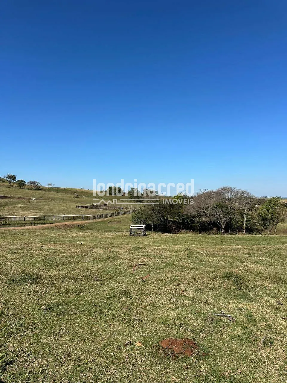 Fazenda, 177 hectares - Foto 35