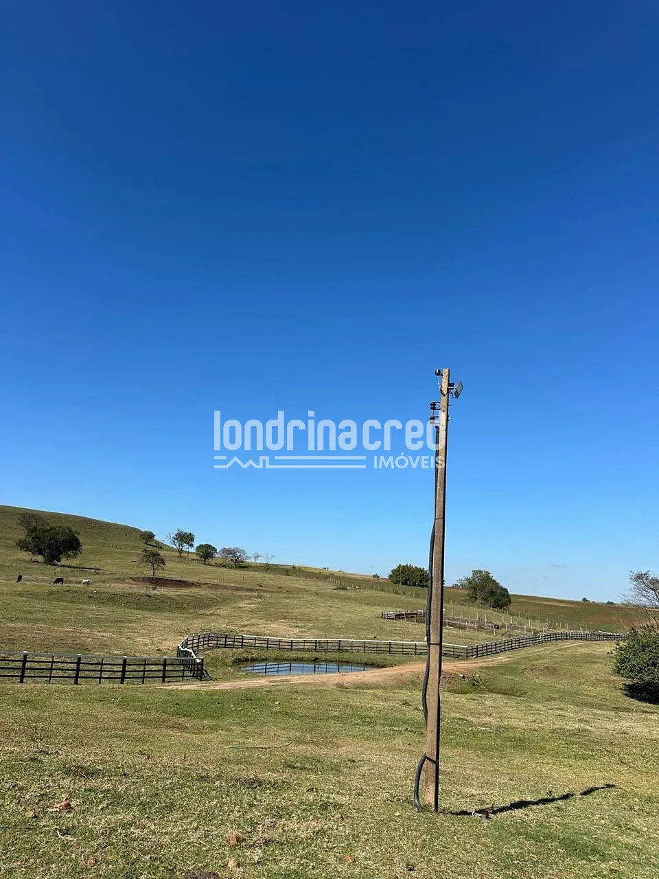 Fazenda, 177 hectares - Foto 43