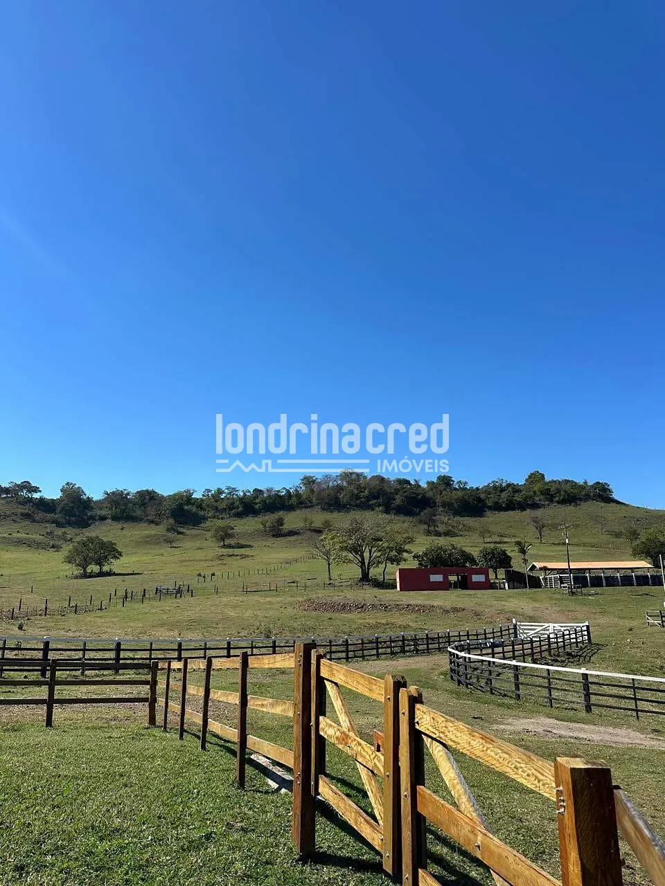 Fazenda, 177 hectares - Foto 45