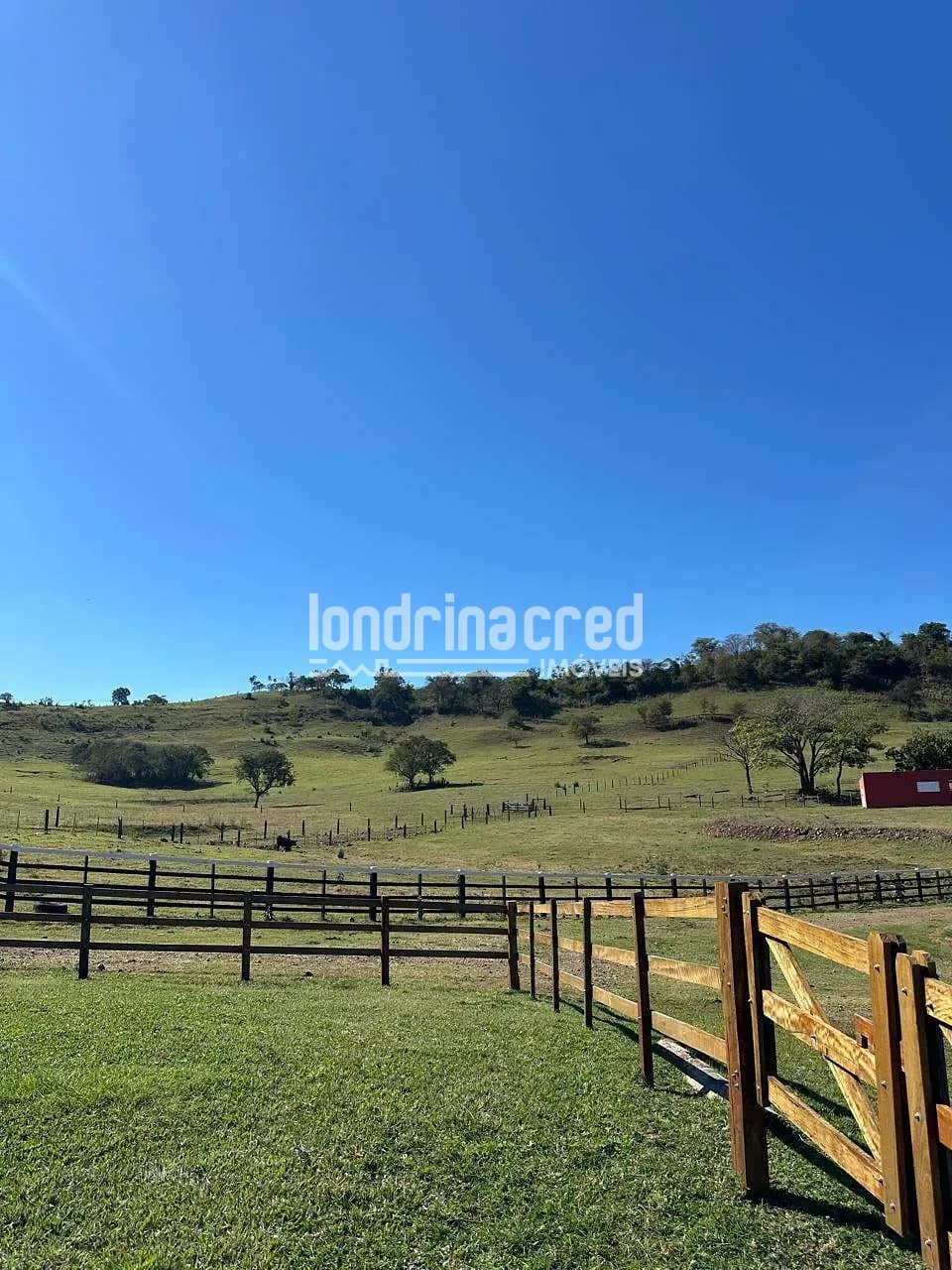 Fazenda, 177 hectares - Foto 46