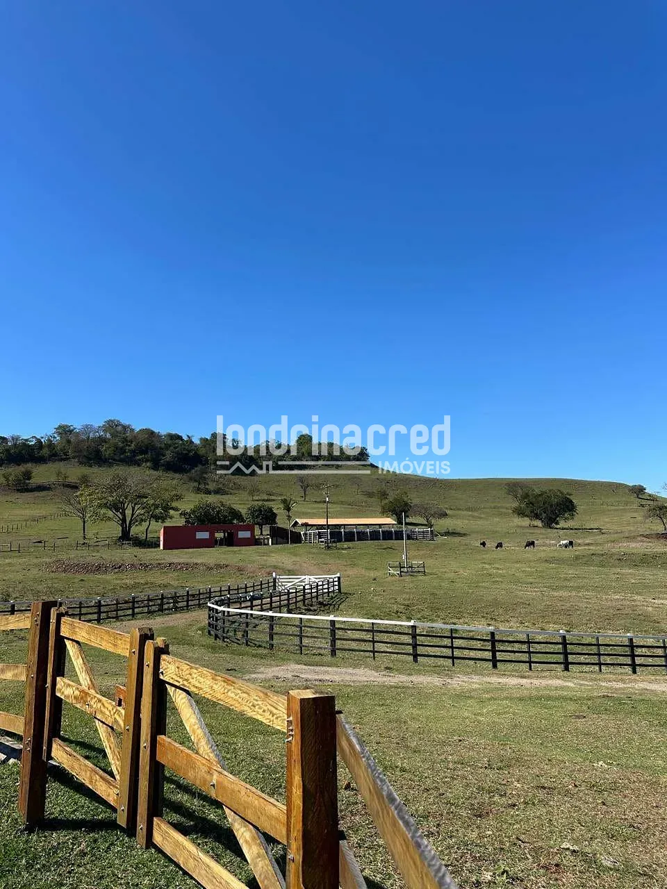 Fazenda, 177 hectares - Foto 47