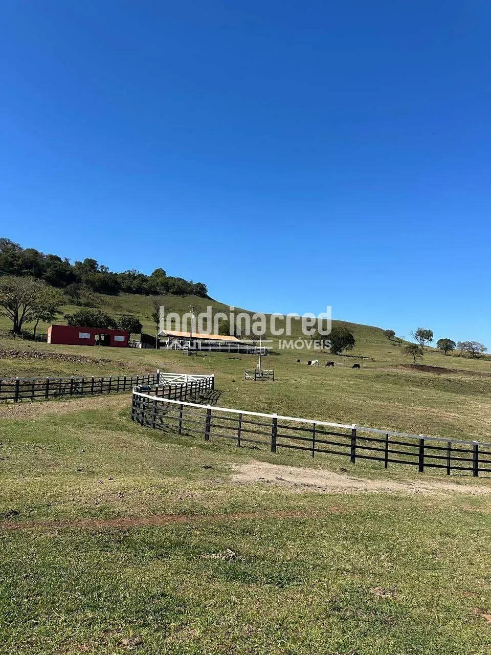 Fazenda, 177 hectares - Foto 23