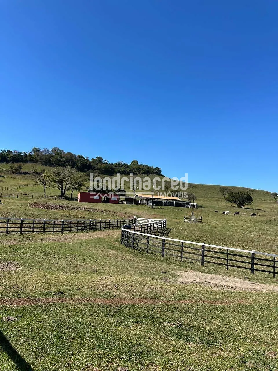 Fazenda, 177 hectares - Foto 50