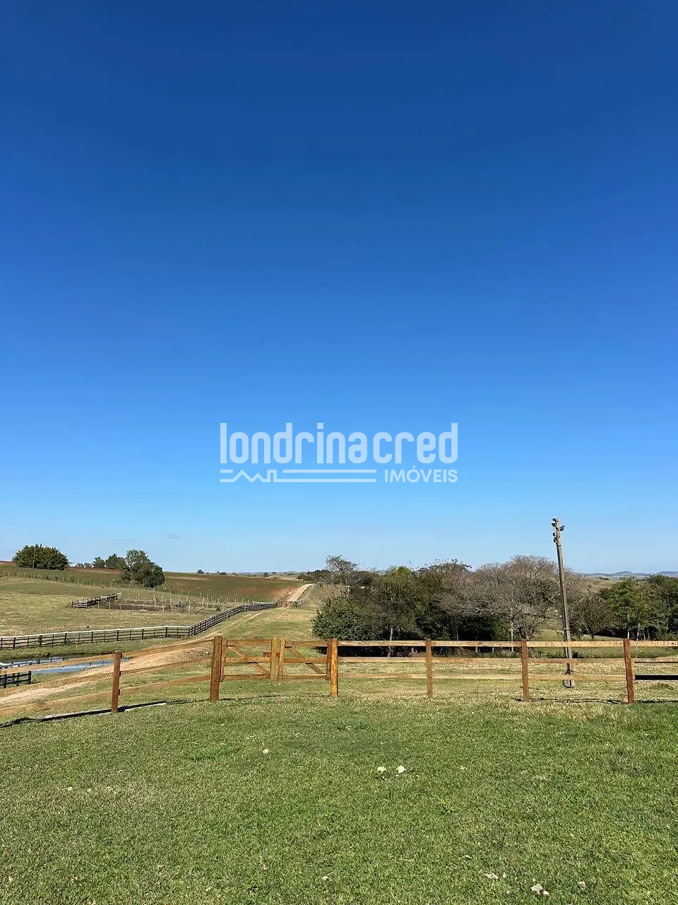 Fazenda, 177 hectares - Foto 52