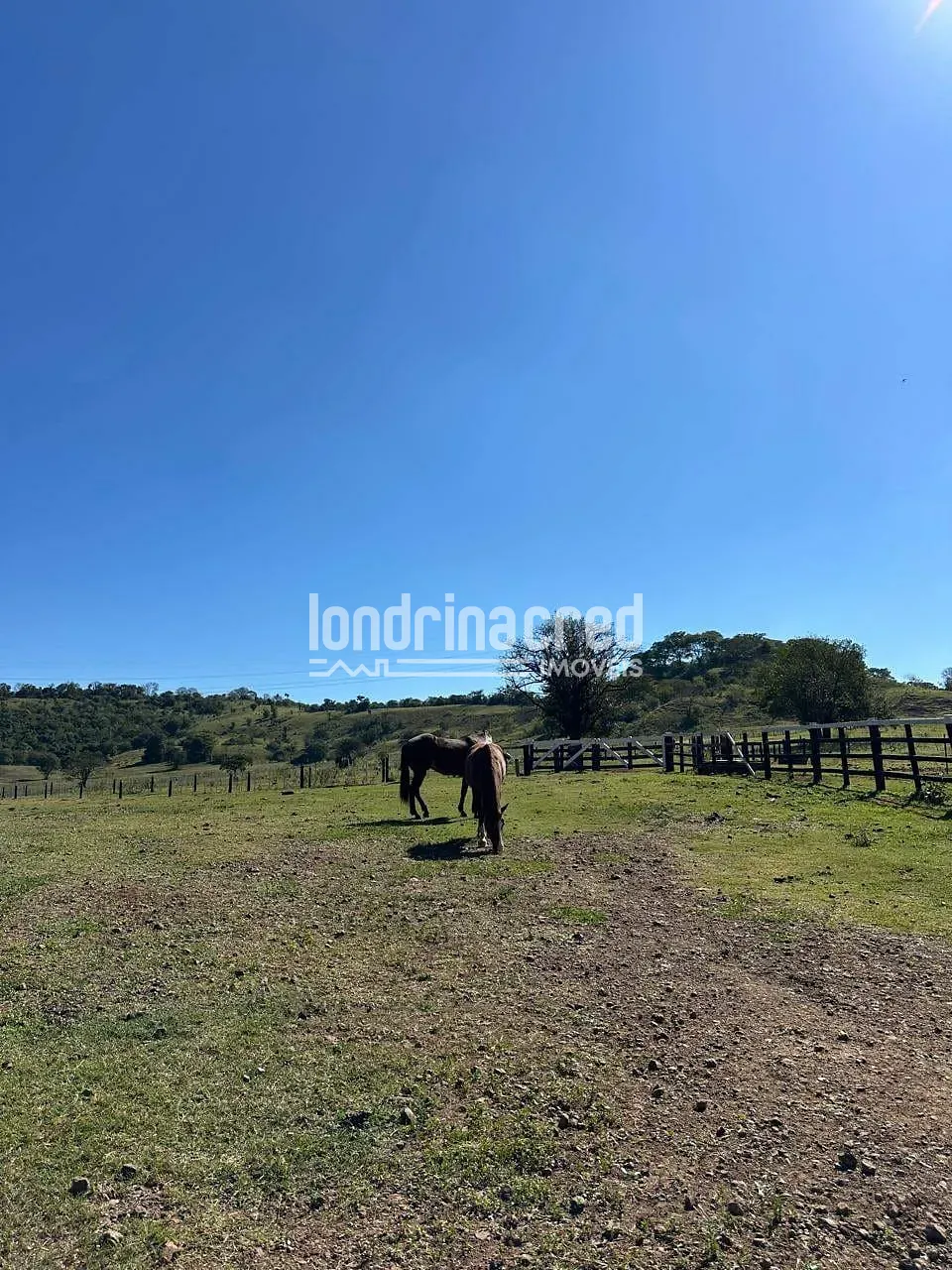 Fazenda, 177 hectares - Foto 53
