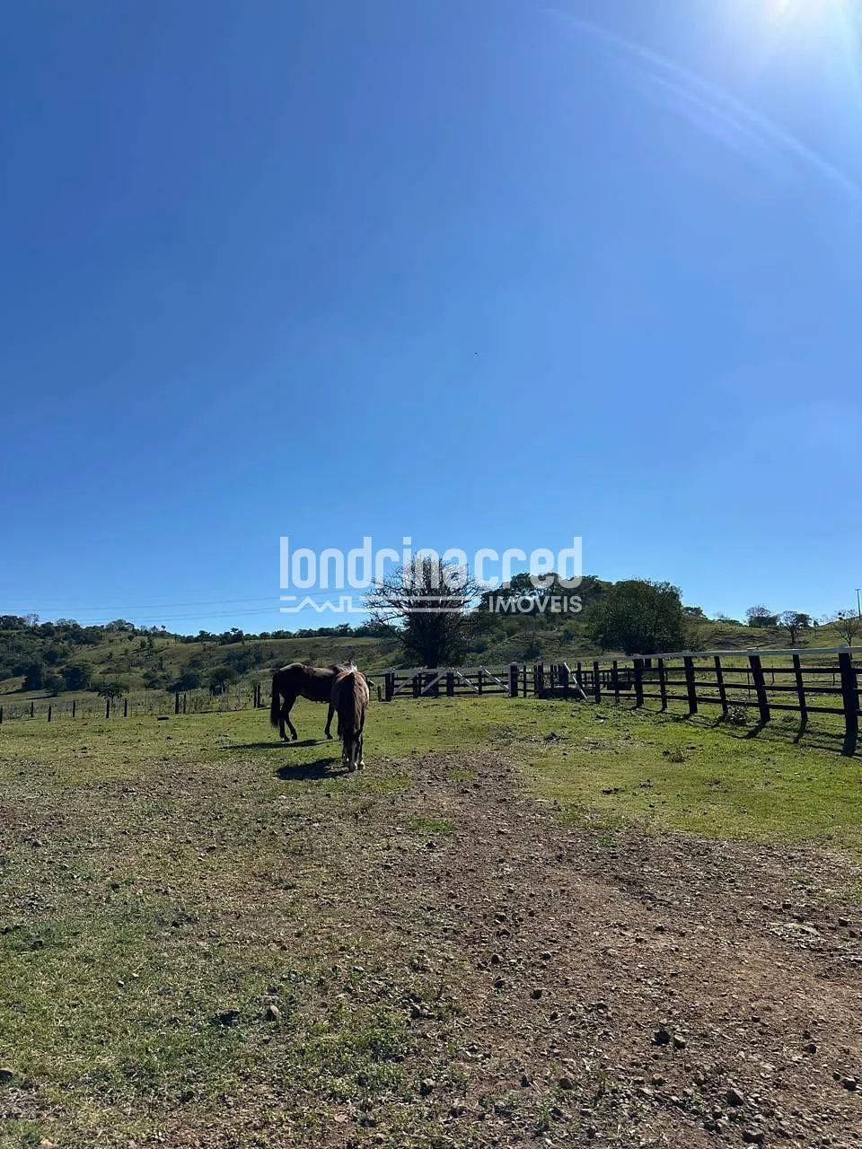 Fazenda, 177 hectares - Foto 39