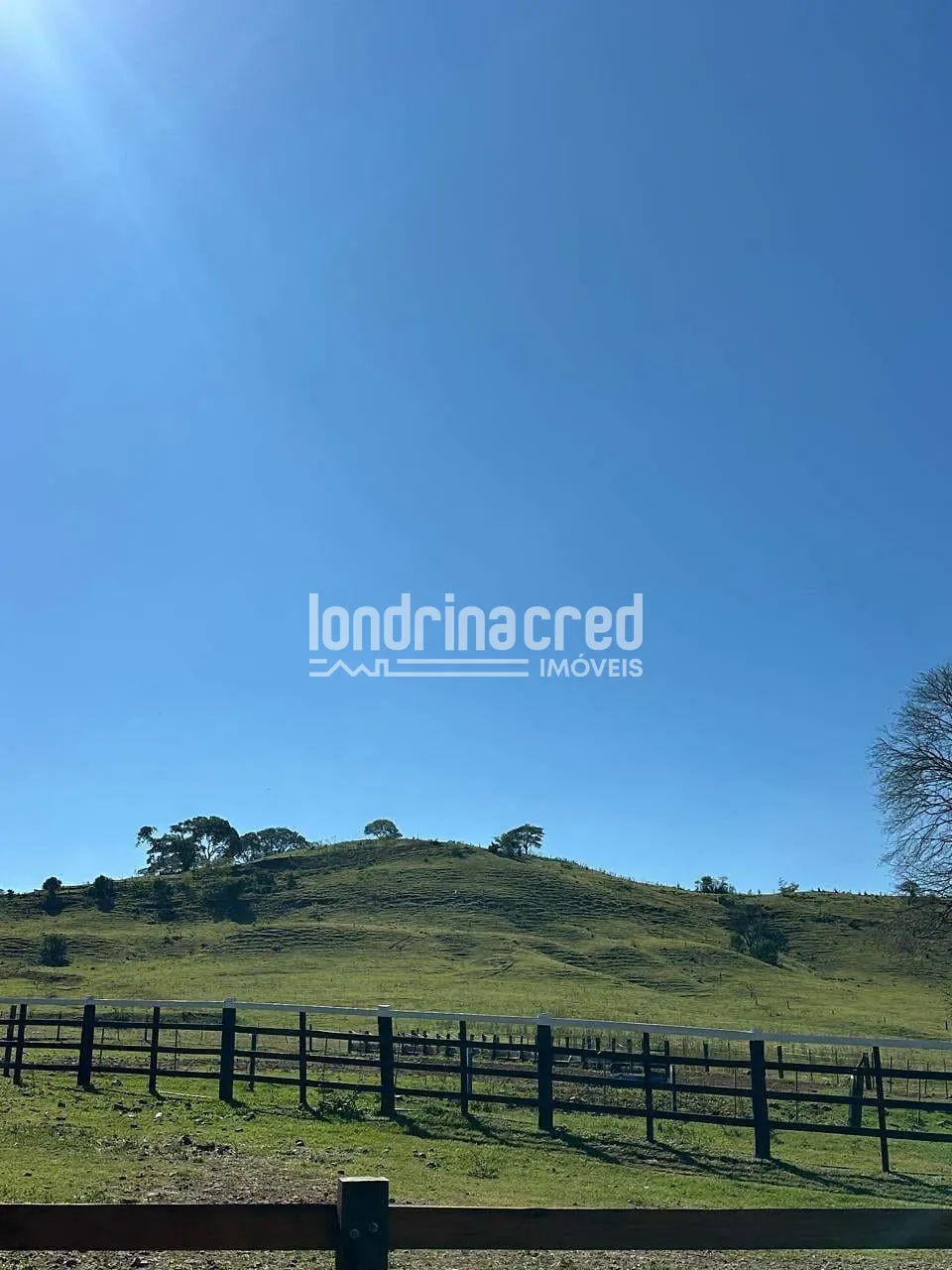 Fazenda, 177 hectares - Foto 16