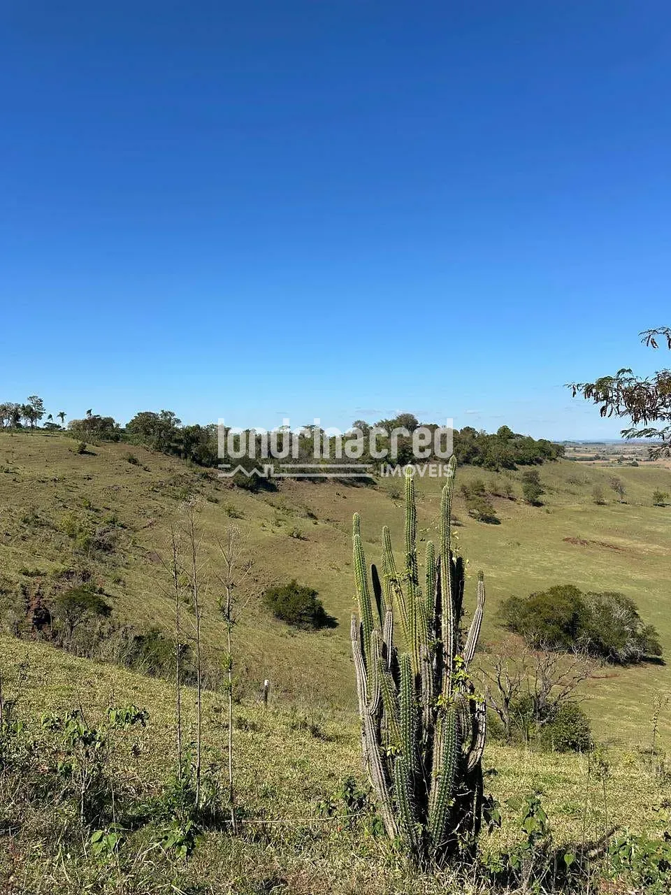 Fazenda, 177 hectares - Foto 17