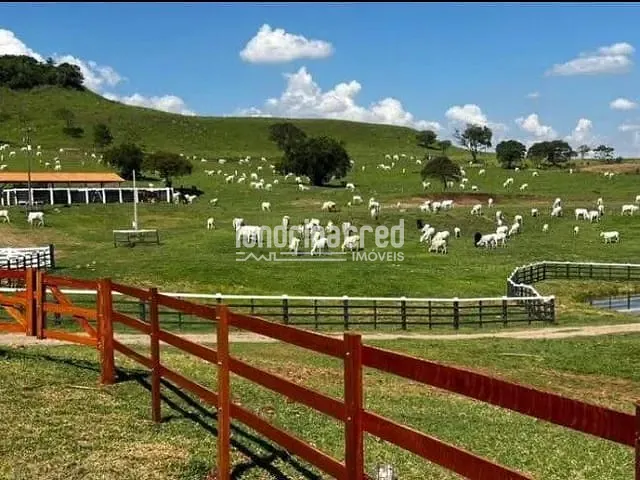 Fazenda com 1766600m², à venda, no bairro Rural em Uraí
