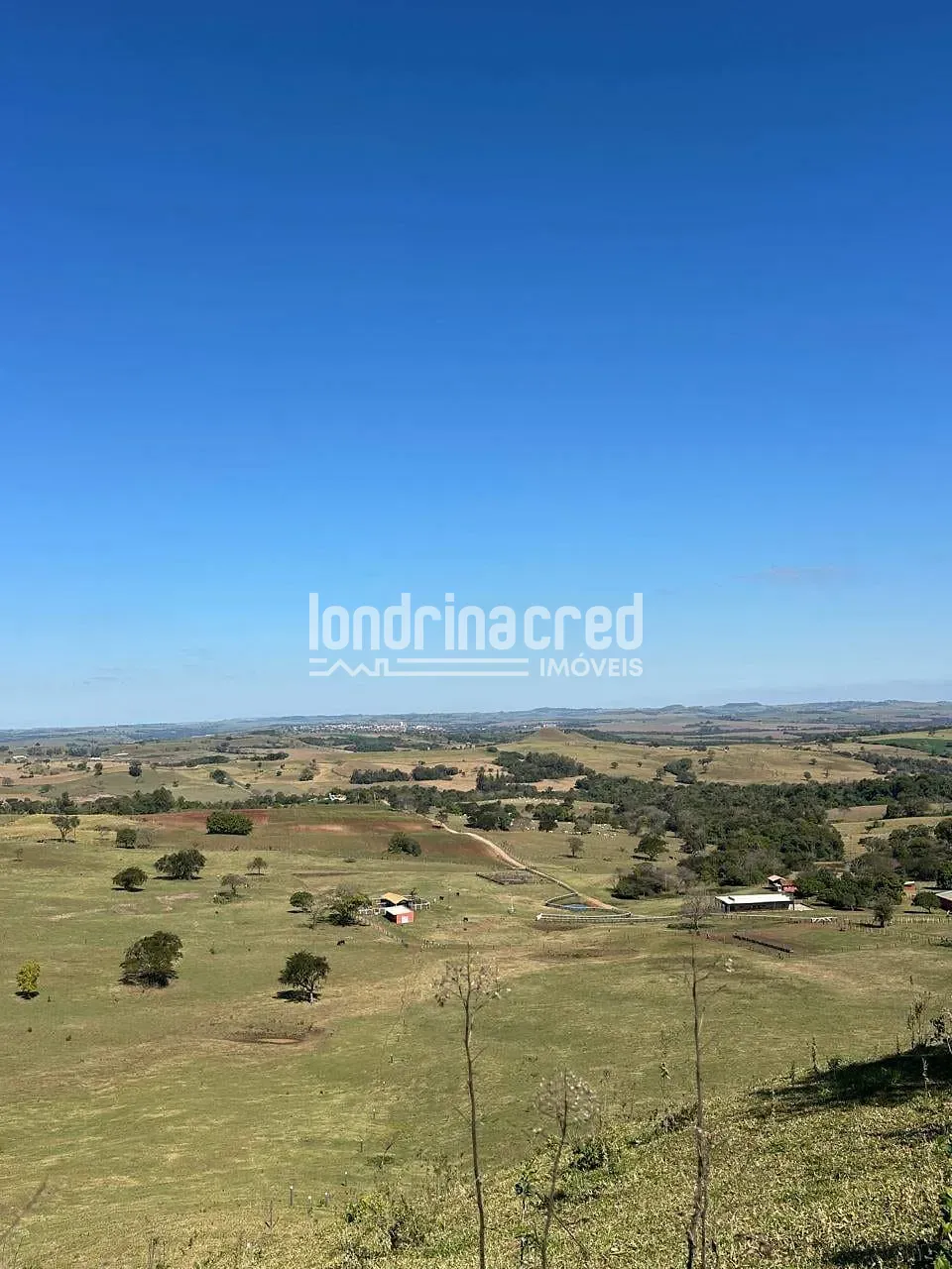 Fazenda, 177 hectares - Foto 18