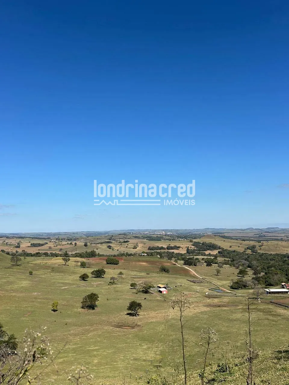 Fazenda, 177 hectares - Foto 19