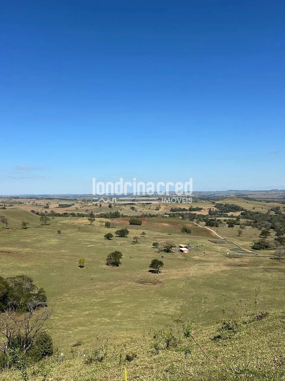 Fazenda, 177 hectares - Foto 22