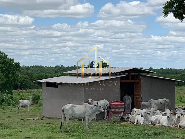 Fazenda com 3190000m² 6 quartos e 6 banheiros, à venda, no bairro Área Rural em Nossa Senhora do Livramento