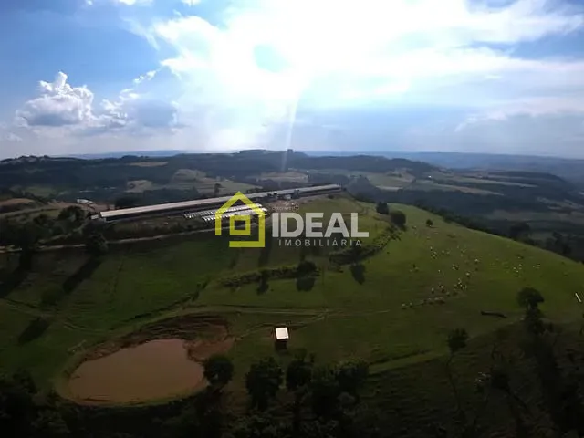 Fazenda com 310m² 6 quartos e 4 banheiros, à venda, no bairro Interior em Peritiba