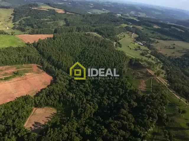 Fazenda com 310m² 6 quartos e 4 banheiros, à venda, no bairro Interior em Peritiba