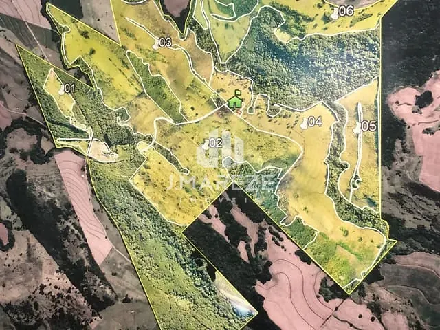 Fazenda com 5353000m², à venda, no bairro Centro em Apucarana