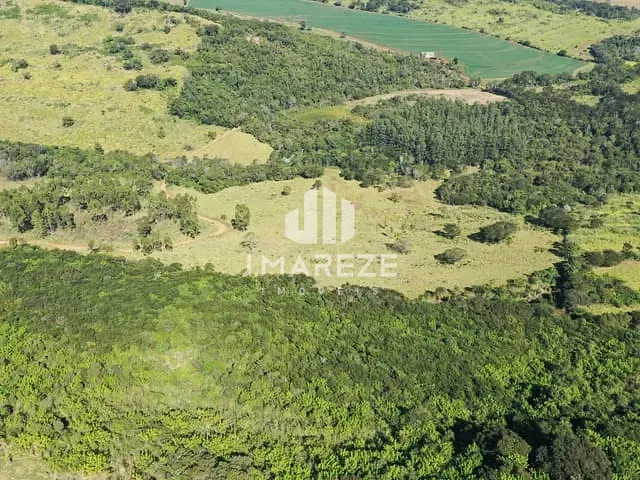 Fazenda com 5353000m², à venda, no bairro Centro em Apucarana