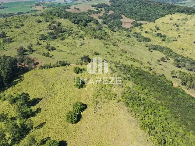 Fazenda com 5353000m², à venda, no bairro Centro em Apucarana