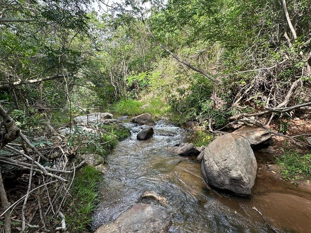 Foto do Fazenda - Fazenda à venda, Jacare, Itinga, MG | Rede Max Imoveis