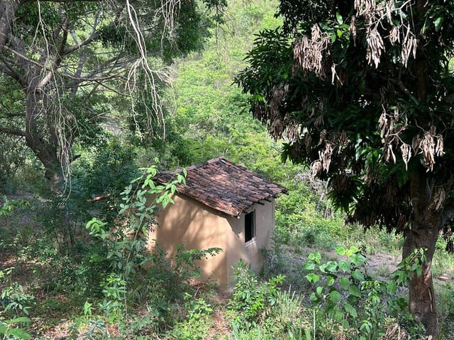 Foto do Fazenda - Fazenda à venda, Jacare, Itinga, MG | Rede Max Imoveis