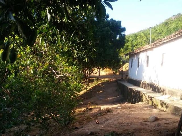 Foto do Fazenda - Fazenda à venda, Jacare, Itinga, MG | Rede Max Imoveis