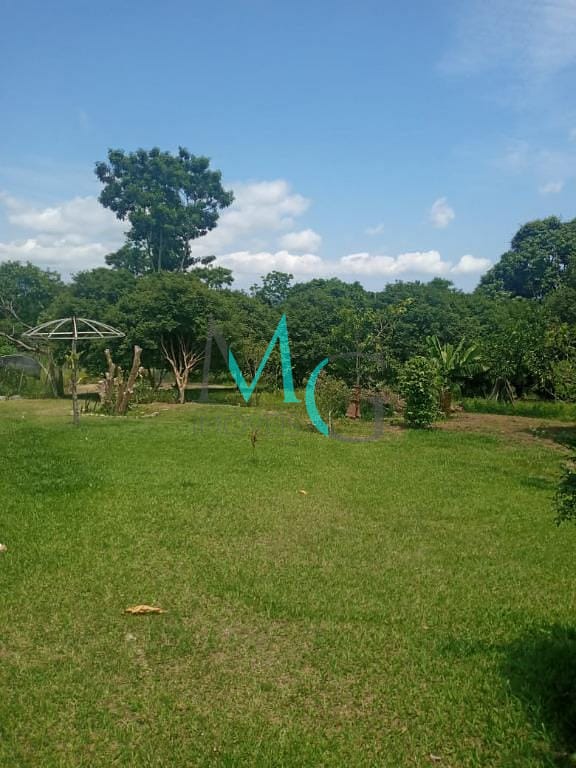 Terreno, 8 hectares - Foto 3