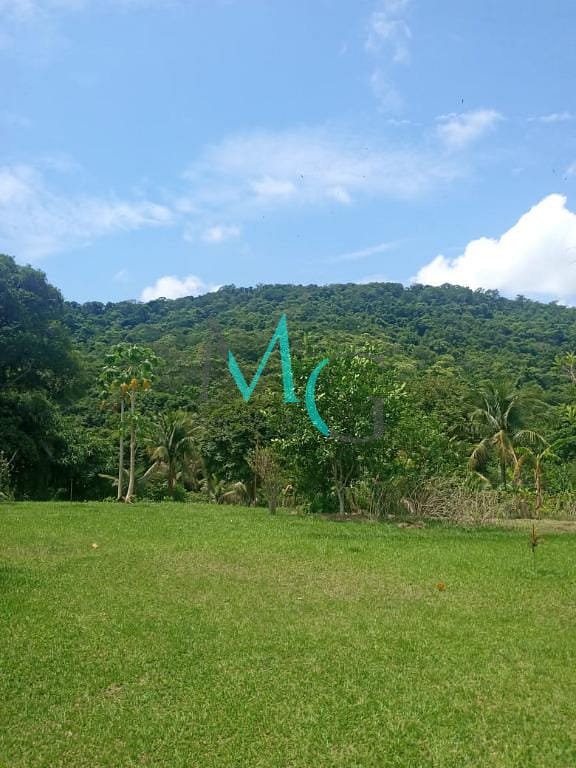 Terreno, 8 hectares - Foto 5