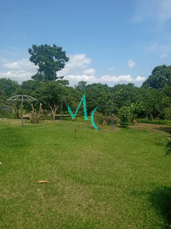 Terreno, 8 hectares - Foto 3