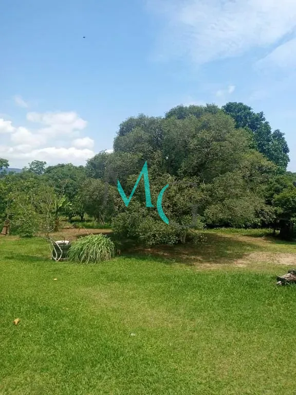 Terreno, 8 hectares - Foto 1