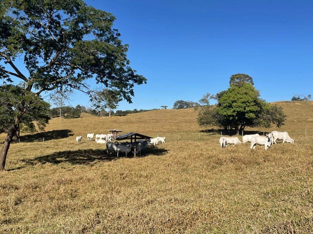 Fazenda com 200m² 3 quartos e 2 banheiros, à venda, no bairro zona rural em São Miguel do Passa Quatro