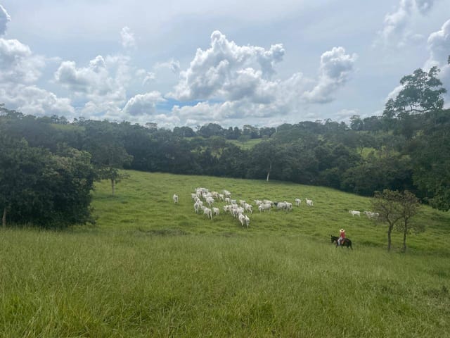 Fazenda com 200m² 3 quartos e 2 banheiros, à venda, no bairro zona rural em São Miguel do Passa Quatro