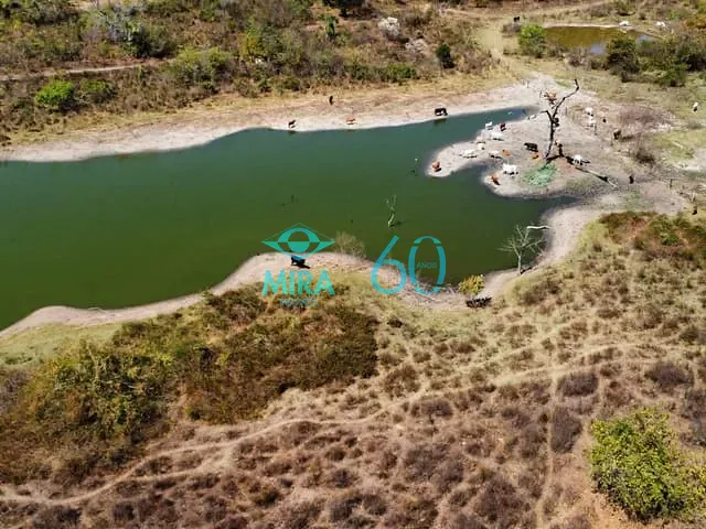 Fazenda com 5074740m² 4 quartos e 2 banheiros, à venda, no bairro 00 em Monte Alegre de Goiás