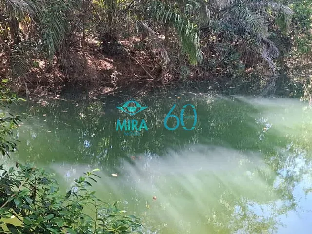 Fazenda com 5074740m² 4 quartos e 2 banheiros, à venda, no bairro 00 em Monte Alegre de Goiás