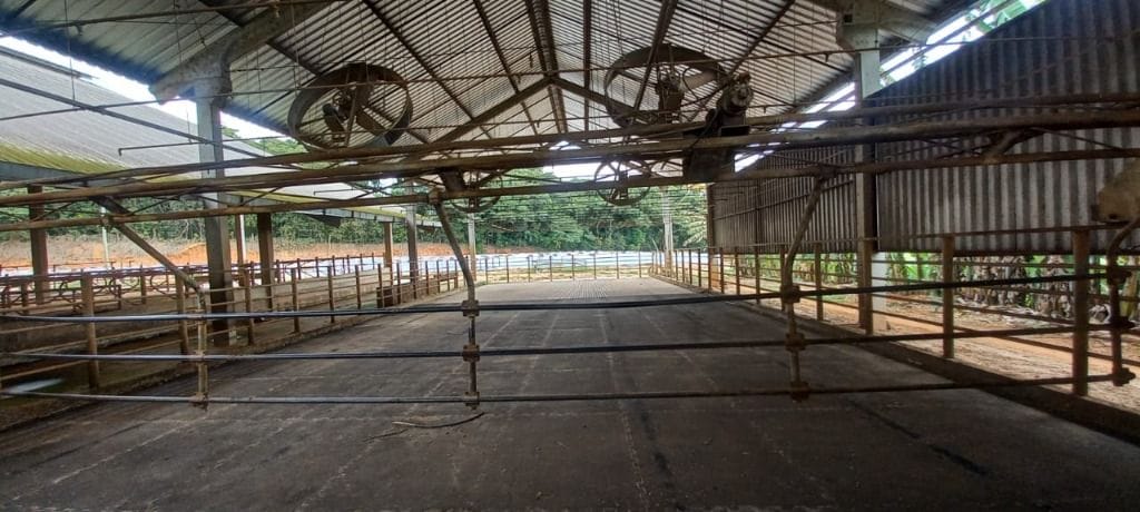 Rural / Chácara no Área rural — foto 36