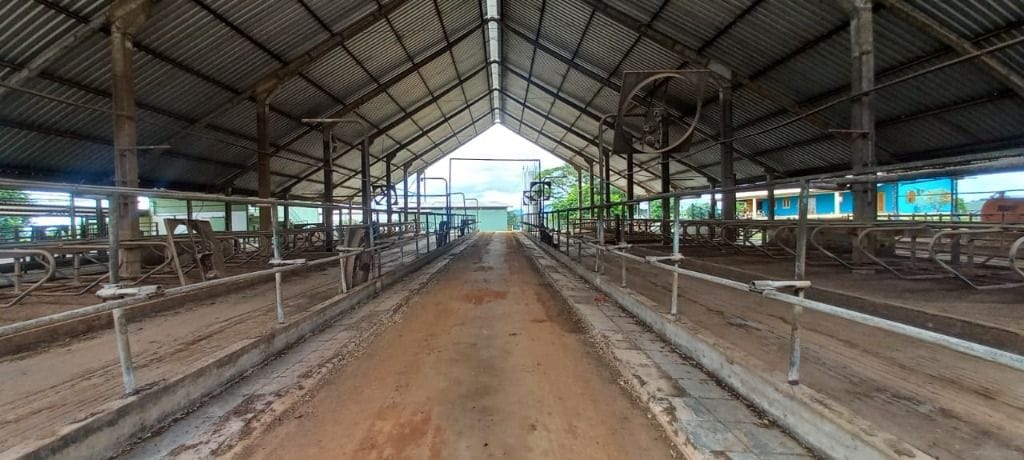Rural / Chácara no Área rural — foto 3